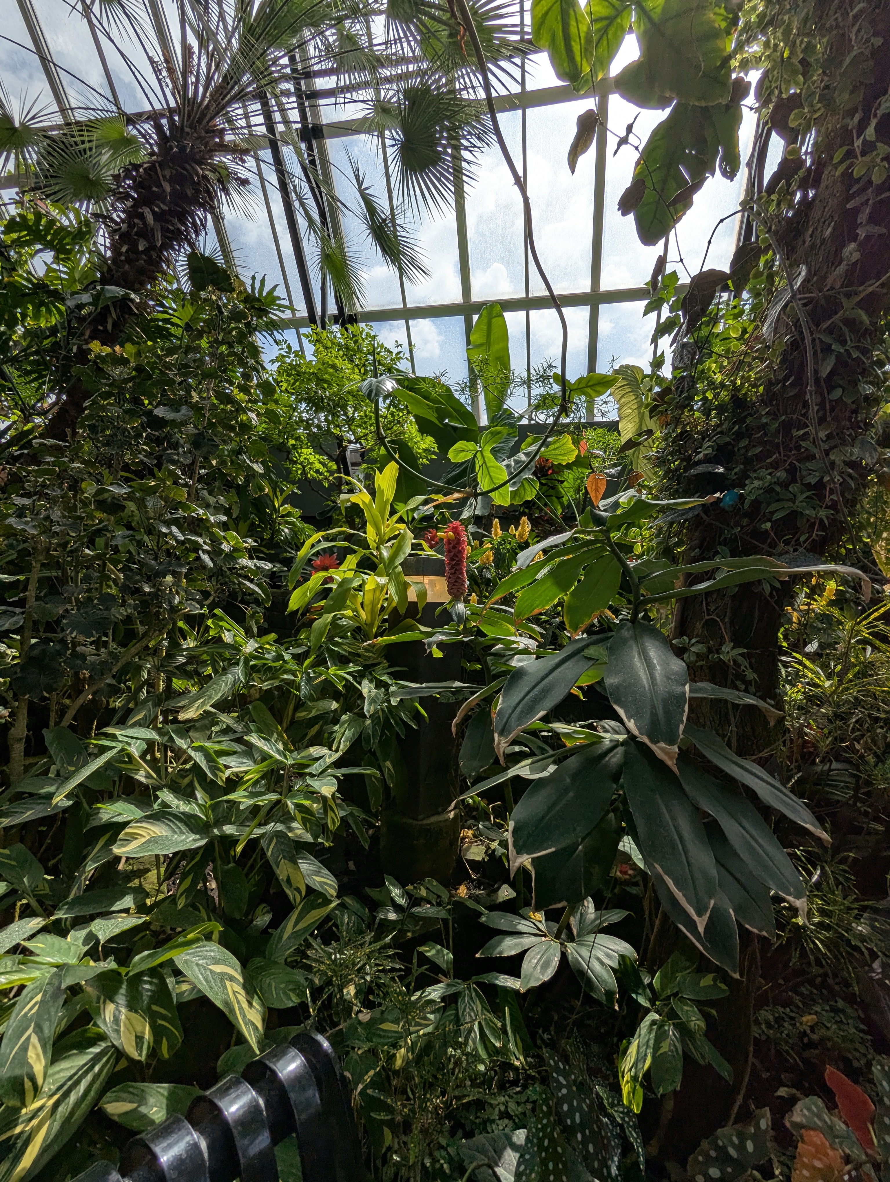 Birthday Trip to Canada, Edmonton, Pyramids, Muttart Observatory